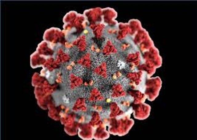 Emergenza coronavirus - Comunicato del 7 gennaio 2022