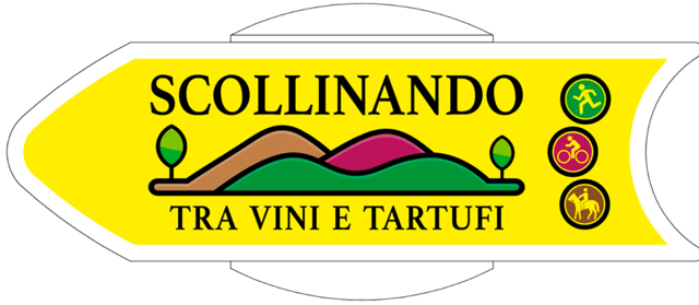 Route | Scollinando tra vini e tartufi