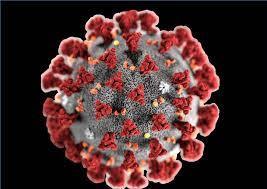Emergenza coronavirus. Comunicato del 12 aprile