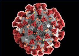 Emergenza coronavirus. Comunicato del 14 giugno